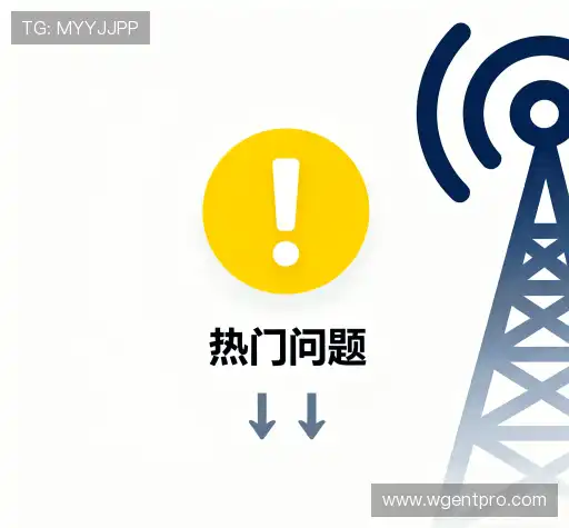 疑问全解
